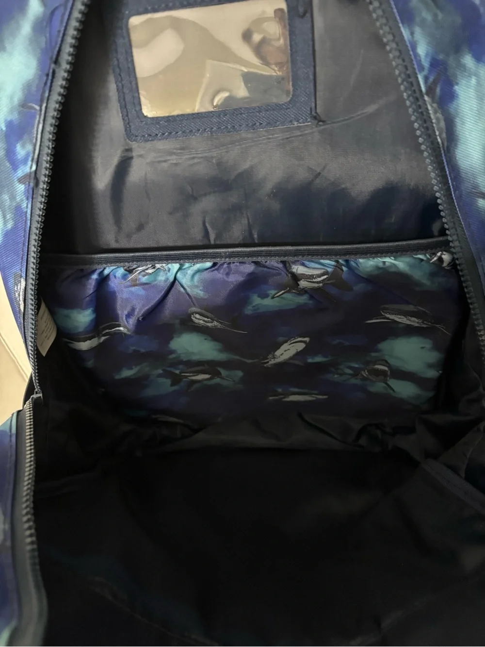 wonder nation Blue Shark Print Kids Backpack with Matching Pouch